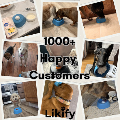 Likify™ 3 In 1 Slow Feeding Bowl