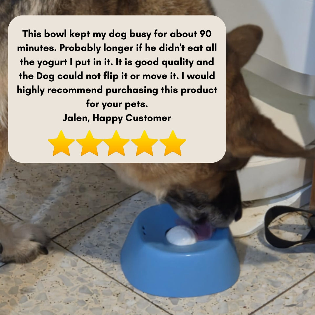 Likify™ 3 In 1 Slow Feeding Bowl