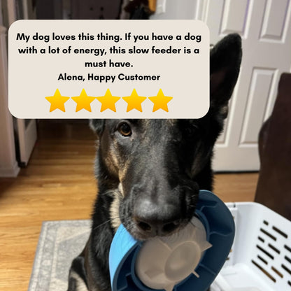 Likify™ 3 In 1 Slow Feeding Bowl