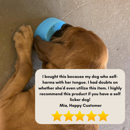 Likify™ 3 In 1 Slow Feeding Bowl