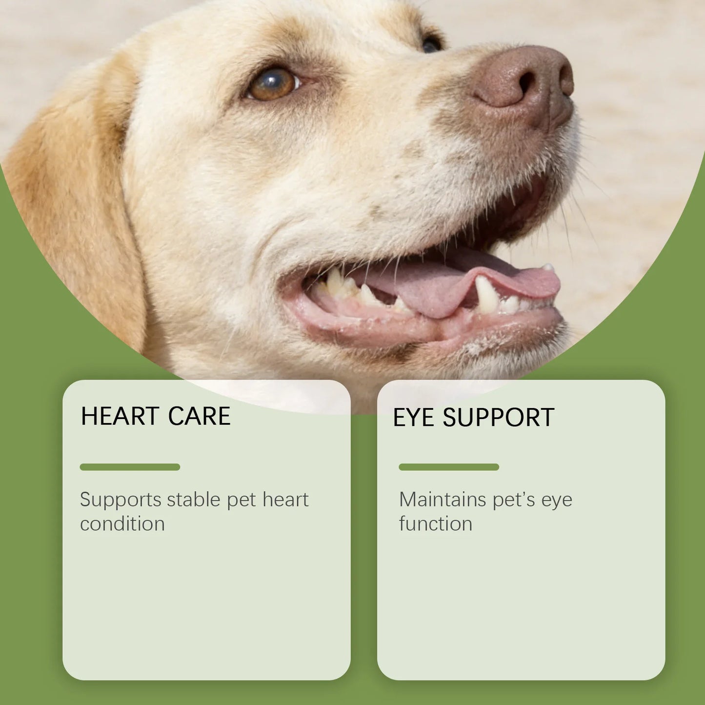 Advanced Taurine Heart Vitality Powder